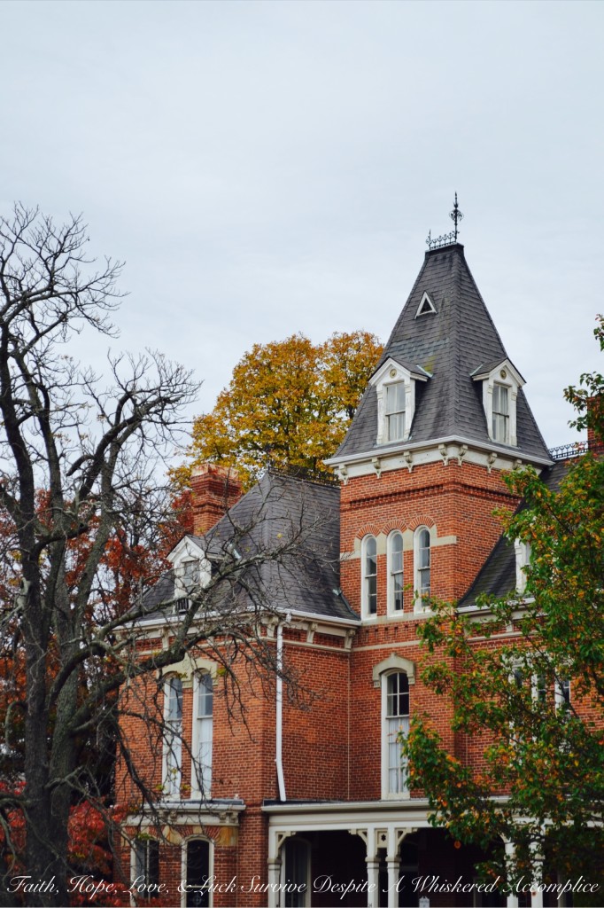 Falling Leaves in Cumberland | Faith, Hope, Love, and Luck Survive Despite a Whiskered Accomplice
