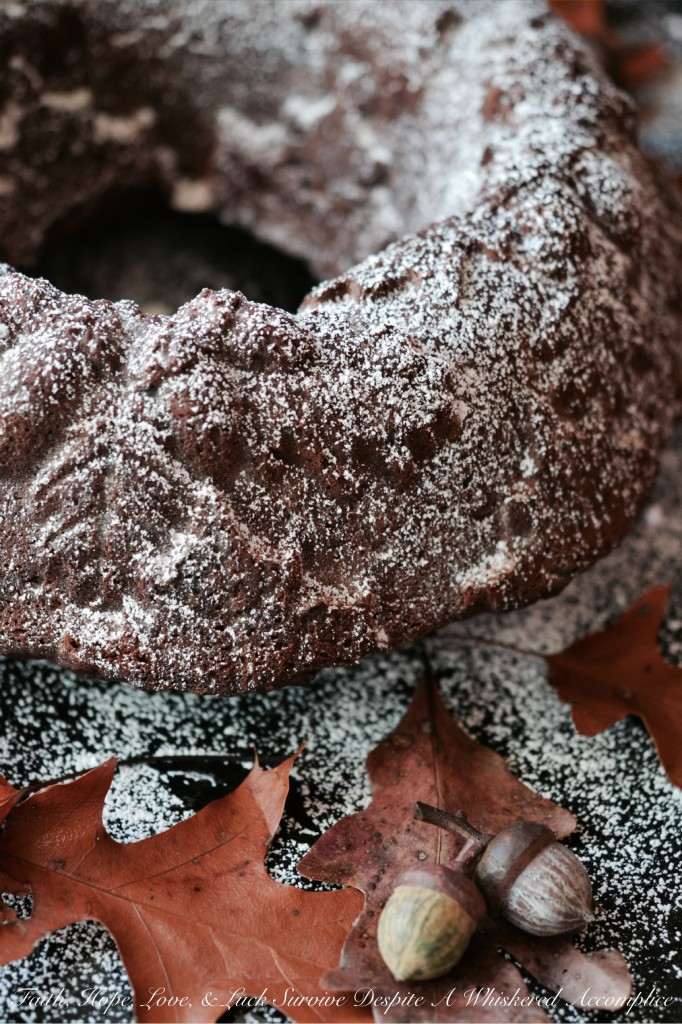 Autumn Spiced Pumpkin Hot Chocolate Bundt Cake - This is the perfect pumpkin Bundt cake to serve alongside a steaming mug of hot chocolate. First, it's lightly spiced with cinnamon and ground chipotle, then it's studded with mini semi-sweet chocolate chips, and finally, it's dusted with cocoa and powdered sugar to make it absolutely gorgeous. This has got to be my personal favorite way to celebrate all things pumpkin spice.