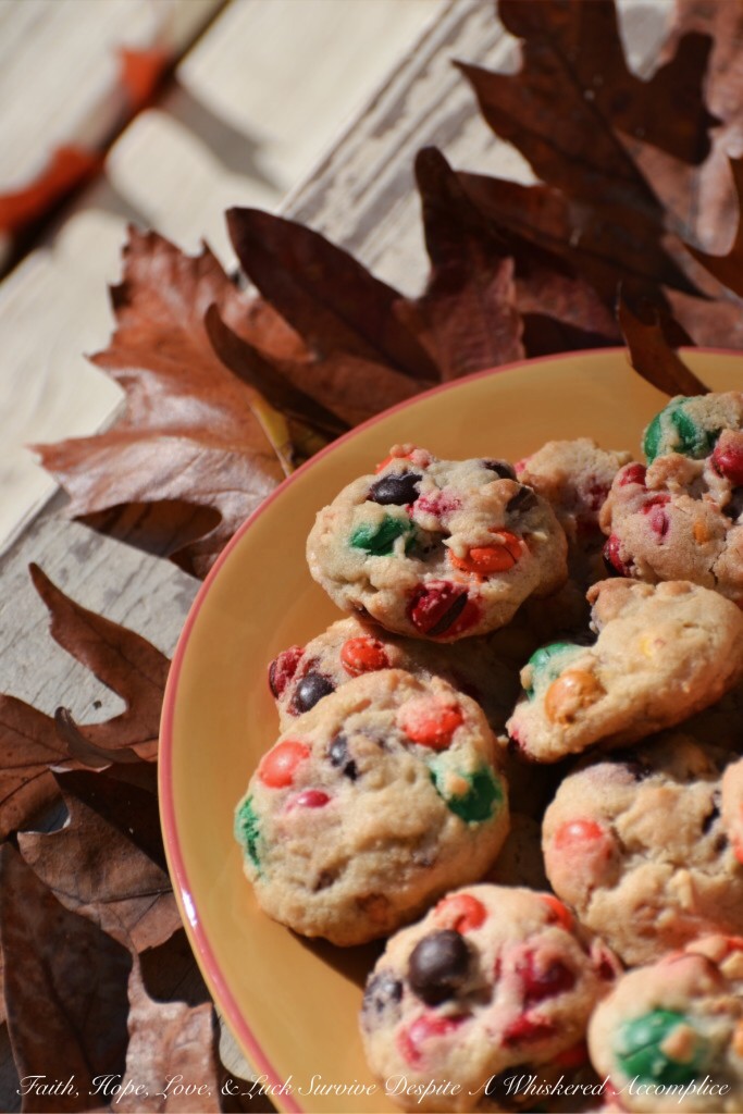 Thanksgiving Leftovers Cookies | Faith, Hope, Love, and Luck Survive Despite A Whiskered Accomplice
