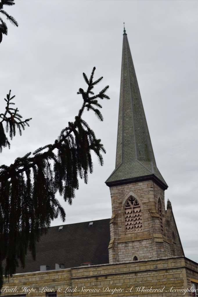 Falling Leaves in Cumberland | Faith, Hope, Love, and Luck Survive Despite a Whiskered Accomplice