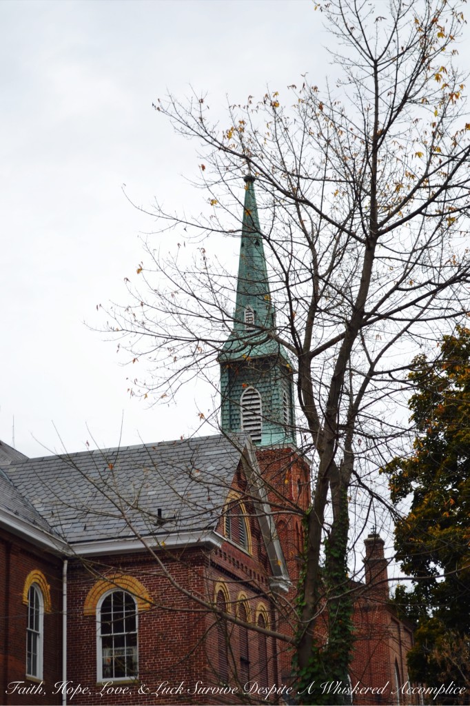 Falling Leaves in Cumberland | Faith, Hope, Love, and Luck Survive Despite a Whiskered Accomplice