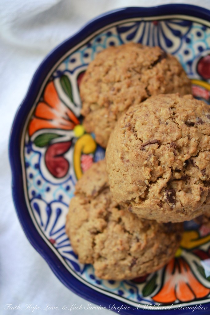 Fat Mexican Reindeer Oatmeal Cookies - These chewy Mexican chocolate chunk cookies get a cozy and flavorful kick from ground cinnamon and nutmeg. It's no wonder why Santa's reindeer simply can't resist these fat, plump, chunky, and oversized oatmeal cookies.