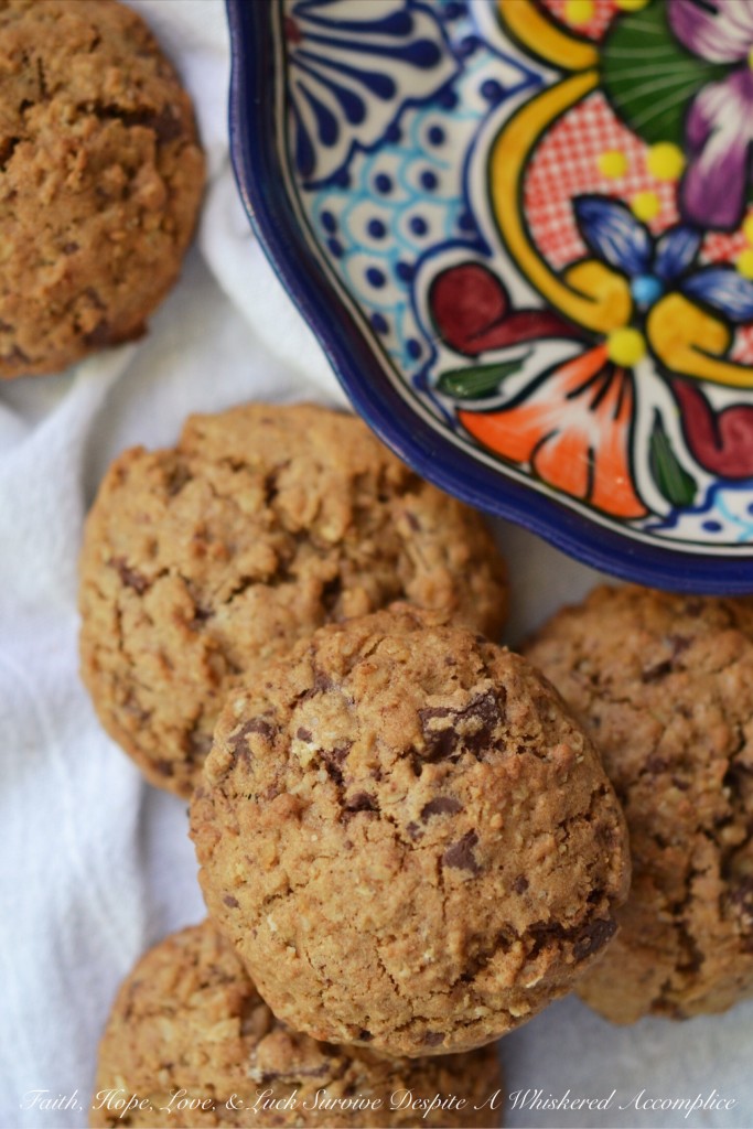 Fat Mexican Reindeer Oatmeal Cookies - These chewy Mexican chocolate chunk cookies get a cozy and flavorful kick from ground cinnamon and nutmeg. It's no wonder why Santa's reindeer simply can't resist these fat, plump, chunky, and oversized oatmeal cookies.