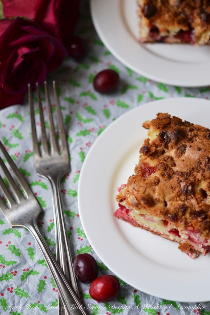 Christmas Cake - Christmas morning is a special time of year, and there's nothing like the smell of freshly baked cranberry Christmas cake to make it even more festive. This delicious cake is the perfect way to bring a little extra cheer to the festivities. With its crunchy sweetness and subtle tang, it's the perfect way to celebrate the special day.