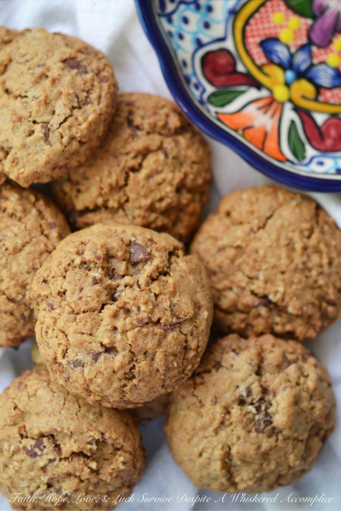 Fat Mexican Reindeer Oatmeal Cookies| Faith, Hope, Love, and Luck Survive Despite a Whiskered Accomplice