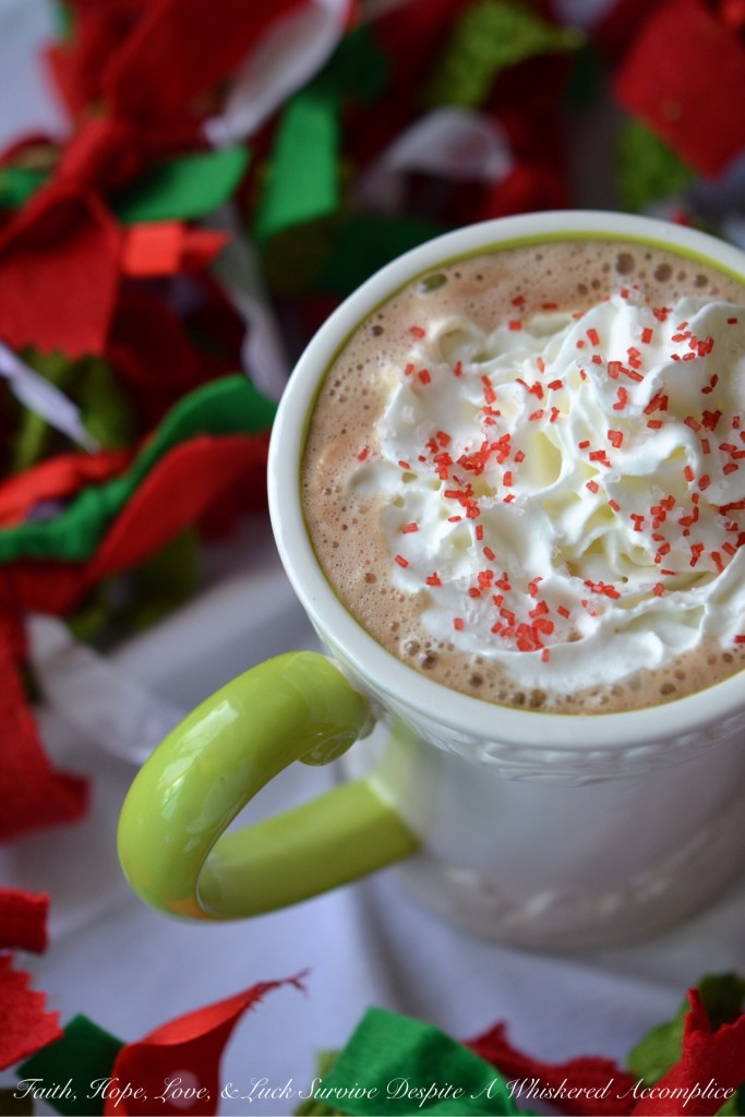 Closed for a Hot Chocolate Break | Faith, Hope, Love, and Luck Survive Despite a Whiskered Accomplice