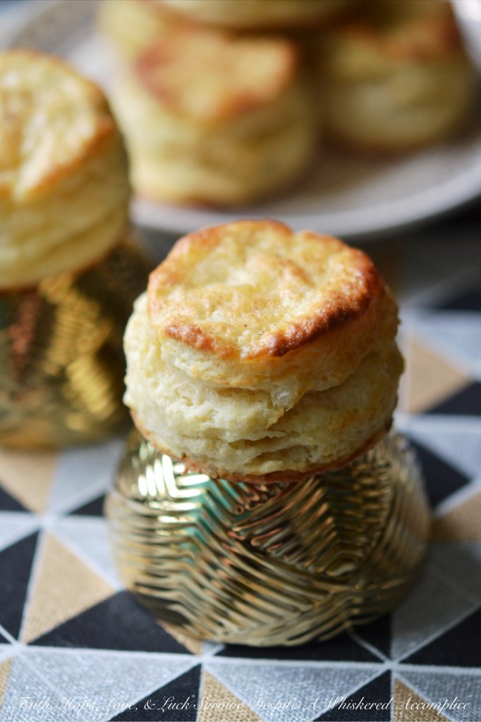 Dainty White Pepper Biscuits | Faith, Hope, Love, and Luck Survive Despite a Whiskered Accomplice