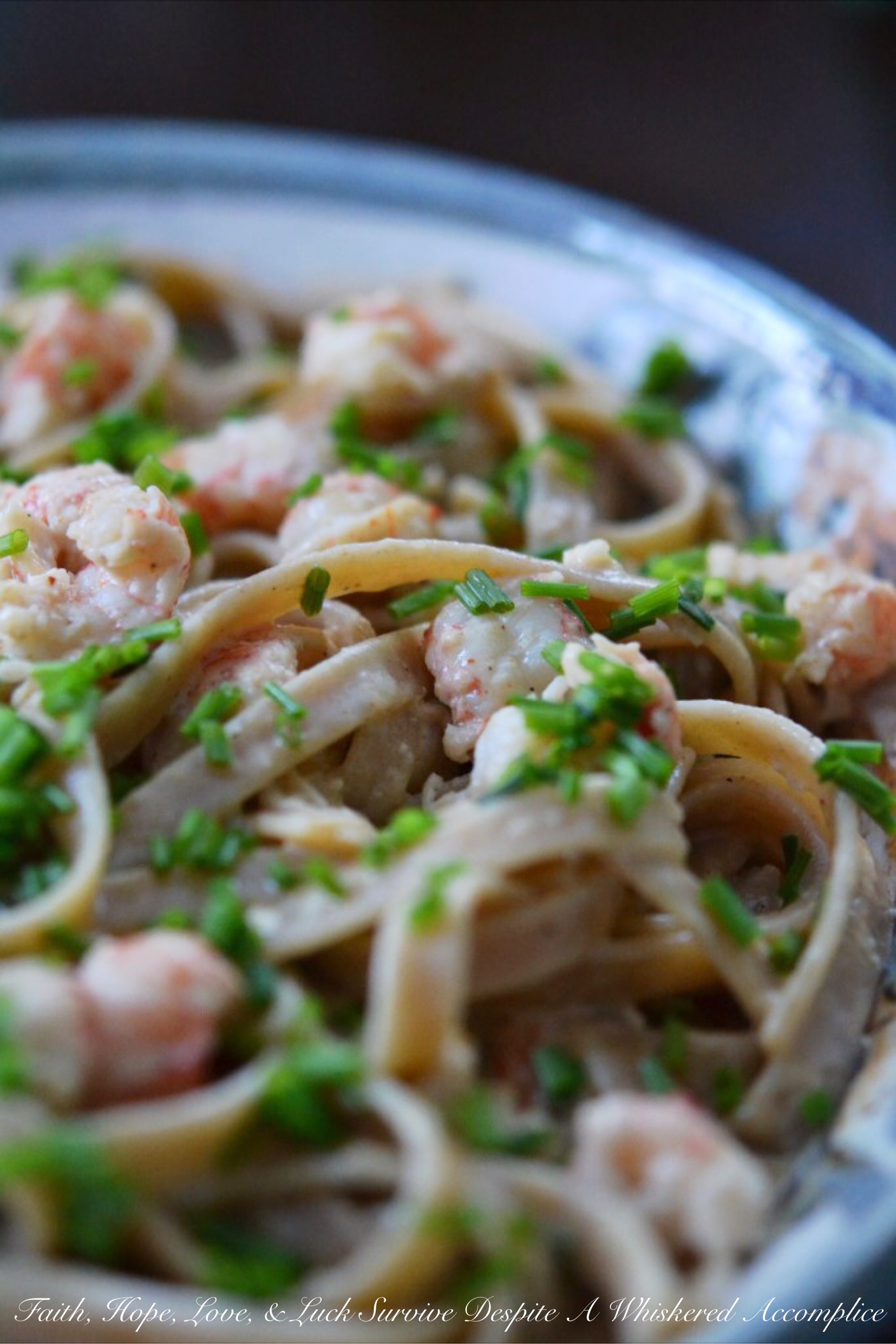 Langostino Cajun Fettuccine - Frozen langostino tails are simmered in a simple cream sauce along with garlic and Cajun seasoning before being piled on top of cooked fettuccine noodles. After being garnished with freshly chopped chives, this creamy, decadent, and slightly spicy pasta dish is ready to serve.