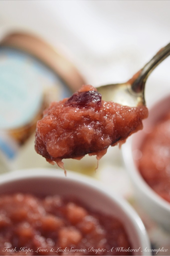 Natural Cranberry Applesauce - Some things in life are sweet enough on their own. This natural, no-sugar-added applesauce is the perfect example. Instead of using sugar, ground cinnamon, vanilla, and a touch of salt are added to enhance the apples' natural flavor. This is a sweet treat you truly can't feel guilty for indulging in.