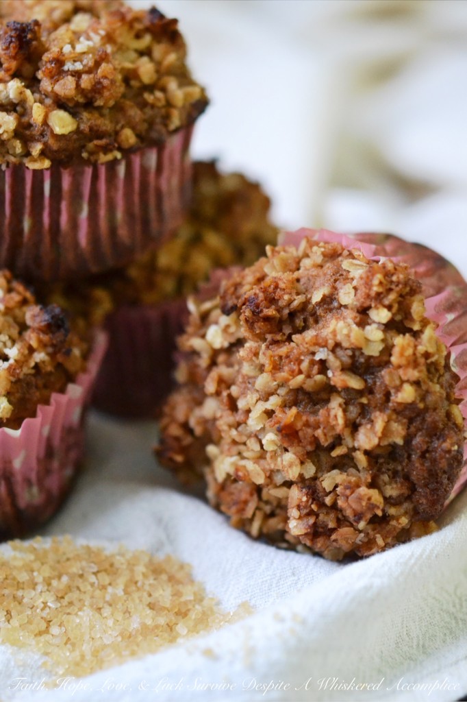 Oatmeal Crumble Muffins - If you're looking for the perfect muffin recipe, you've come to the right place. These muffins aren't fancy. They're not loaded with raisins, they're not studded with chocolate chips, and they definitely don't contain any nuts, seeds, or berries. These muffins are simple, yet delicious, with an oatmeal crumble topping to add a delightful and irresistible crunch to each and every bite.