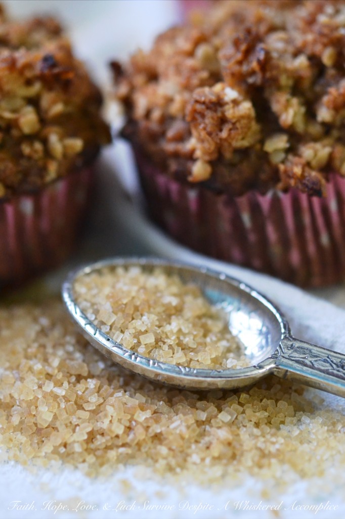 Oatmeal Crumble Muffins - If you're looking for the perfect muffin recipe, you've come to the right place. These muffins aren't fancy. They're not loaded with raisins, they're not studded with chocolate chips, and they definitely don't contain any nuts, seeds, or berries. These muffins are simple, yet delicious, with an oatmeal crumble topping to add a delightful and irresistible crunch to each and every bite.