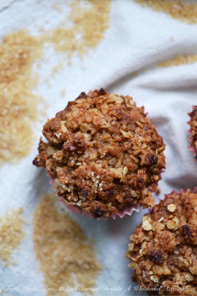 Oatmeal Crumble Muffins - If you're looking for the perfect muffin recipe, you've come to the right place. These muffins aren't fancy. They're not loaded with raisins, they're not studded with chocolate chips, and they definitely don't contain any nuts, seeds, or berries. These muffins are simple, yet delicious, with an oatmeal crumble topping to add a delightful and irresistible crunch to each and every bite.