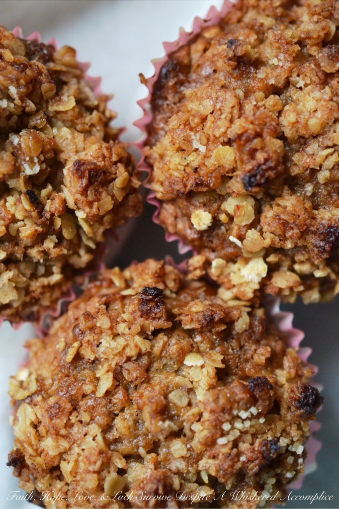 Oatmeal Crumble Muffins - If you're looking for the perfect muffin recipe, you've come to the right place. These muffins aren't fancy. They're not loaded with raisins, they're not studded with chocolate chips, and they definitely don't contain any nuts, seeds, or berries. These muffins are simple, yet delicious, with an oatmeal crumble topping to add a delightful and irresistible crunch to each and every bite.