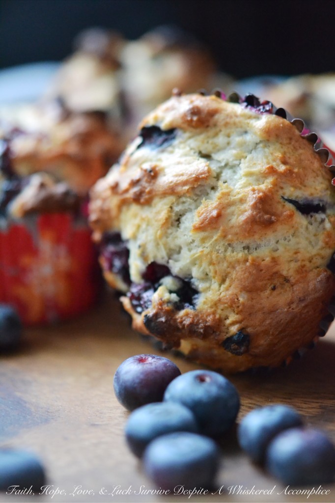 Chobani Simply 100 Blueberry Dinner Muffins - Having bread for dinner doesn't mean that you're eating dreadfully or living an unhealthy lifestyle. Especially, if that bread comes in the form of these blueberry dinner muffins. The secret to these healthier muffins is that they contain way less sugar than most. Low-fat and low-sugar yogurt also helps give them amazing flavor and just the right amount of texture. Grab a muffin and ditch the guilt.