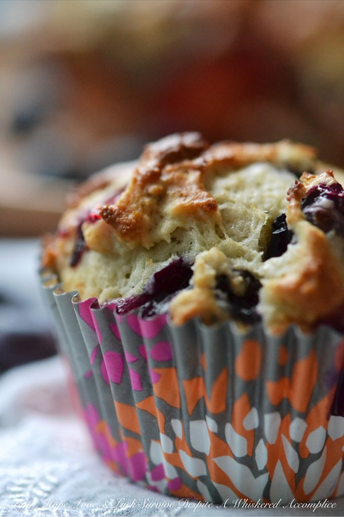 Chobani Simply 100 Blueberry Dinner Muffins - Having bread for dinner doesn't mean that you're eating dreadfully or living an unhealthy lifestyle. Especially, if that bread comes in the form of these blueberry dinner muffins. The secret to these healthier muffins is that they contain way less sugar than most. Low-fat and low-sugar yogurt also helps give them amazing flavor and just the right amount of texture. Grab a muffin and ditch the guilt.