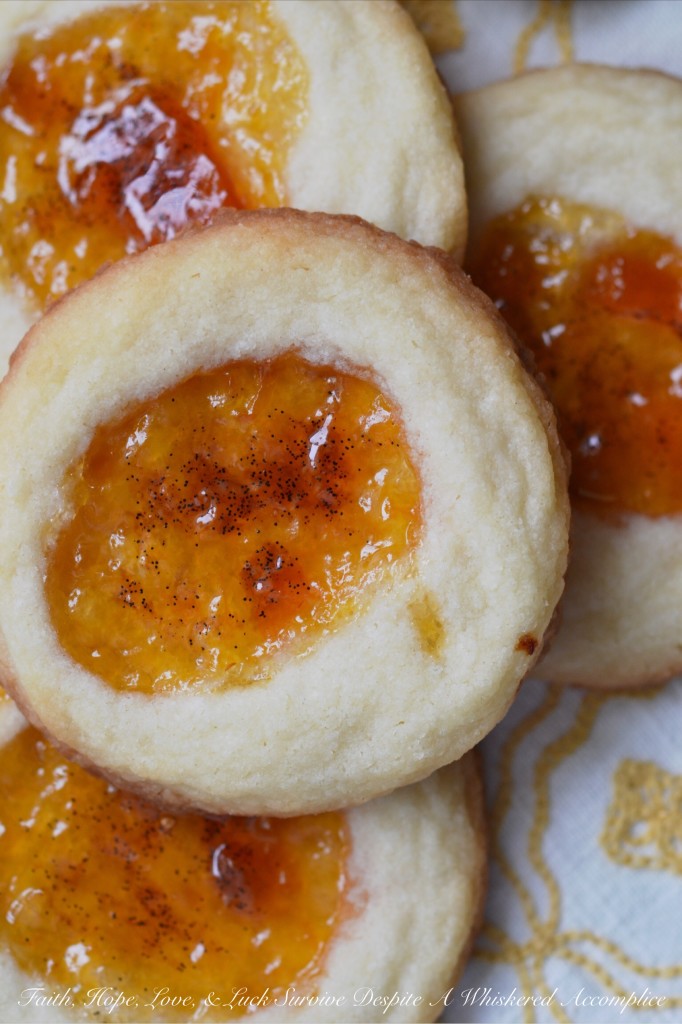 Salty Vanilla Bean Apricot Cookies - These sweet and salty shortbread thumbprint cookies are first filled with apricot preserves before having the tiniest bit of vanilla bean paste swirled into the filling. Then, after baking, they are finished off with a light sprinkling of sea salt, which helps to develop their sweet and salty unforgettable flavor. The only problem with this recipe is that it only makes two dozen cookies. You're going to definitely want to make more than one batch.