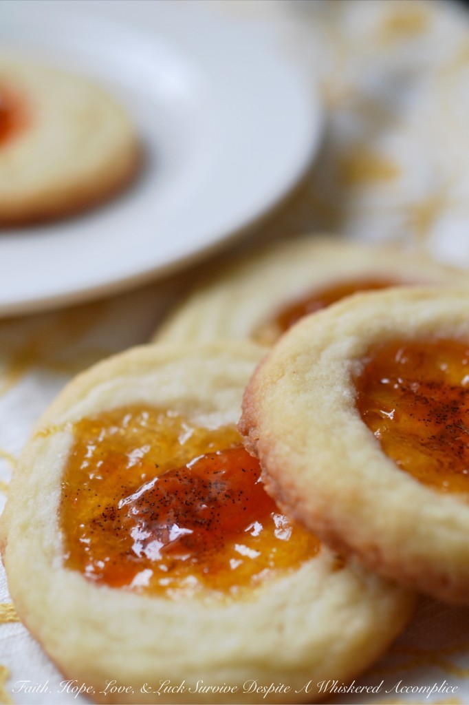Salty Vanilla Bean Apricot Cookies | Faith, Hope, Love, and Luck Survive Despite a Whiskered Accomplice