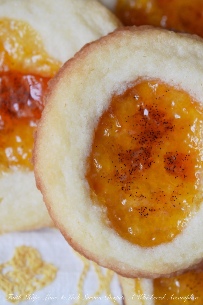 Salty Vanilla Bean Apricot Cookies - These sweet and salty shortbread thumbprint cookies are first filled with apricot preserves before having the tiniest bit of vanilla bean paste swirled into the filling. Then, after baking, they are finished off with a light sprinkling of sea salt, which helps to develop their sweet and salty unforgettable flavor. The only problem with this recipe is that it only makes two dozen cookies. You're going to definitely want to make more than one batch.