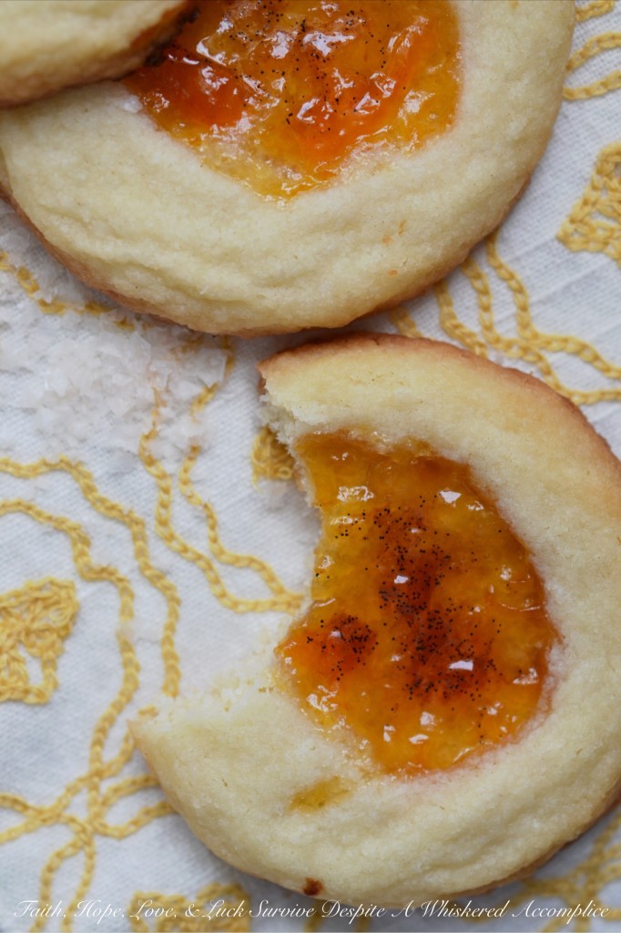 Salty Vanilla Bean Apricot Cookies - These sweet and salty shortbread thumbprint cookies are first filled with apricot preserves before having the tiniest bit of vanilla bean paste swirled into the filling. Then, after baking, they are finished off with a light sprinkling of sea salt, which helps to develop their sweet and salty unforgettable flavor. The only problem with this recipe is that it only makes two dozen cookies. You're going to definitely want to make more than one batch.