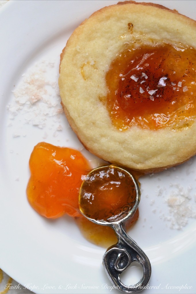 Salty Vanilla Bean Apricot Cookies - These sweet and salty shortbread thumbprint cookies are first filled with apricot preserves before having the tiniest bit of vanilla bean paste swirled into the filling. Then, after baking, they are finished off with a light sprinkling of sea salt, which helps to develop their sweet and salty unforgettable flavor. The only problem with this recipe is that it only makes two dozen cookies. You're going to definitely want to make more than one batch.