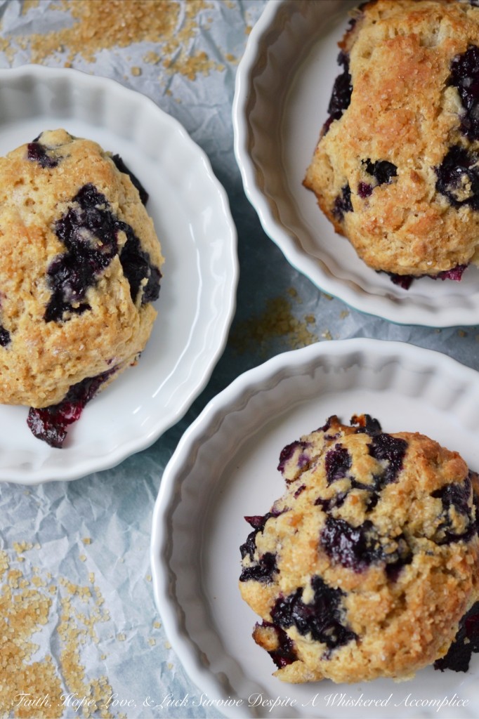 Blueberry Something Special Drop Scones - Looking for a quick and easy way to satisfy your sweet tooth? These blueberry drop scones are not only effortless to make, but they also have a surprise ingredient that takes the flavor to the next level. A wee bit of lime extract is that little something special that adds so much flavor. Bursting with fresh juicy blueberries and topped with a crunchy turbinado sugar topping, these scones are pretty much the perfect treat for just about any occasion.