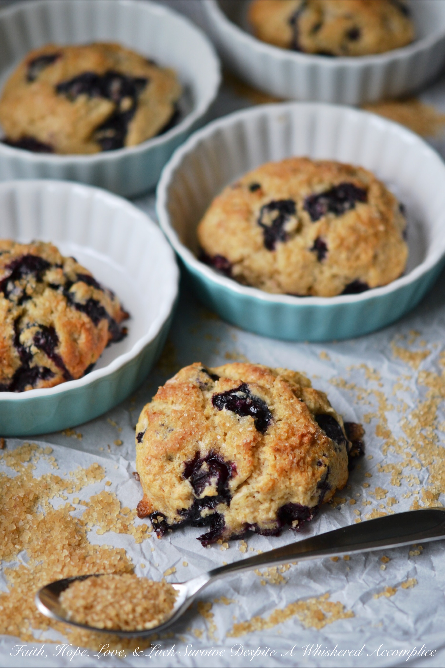Blueberry Something Special Drop Scones