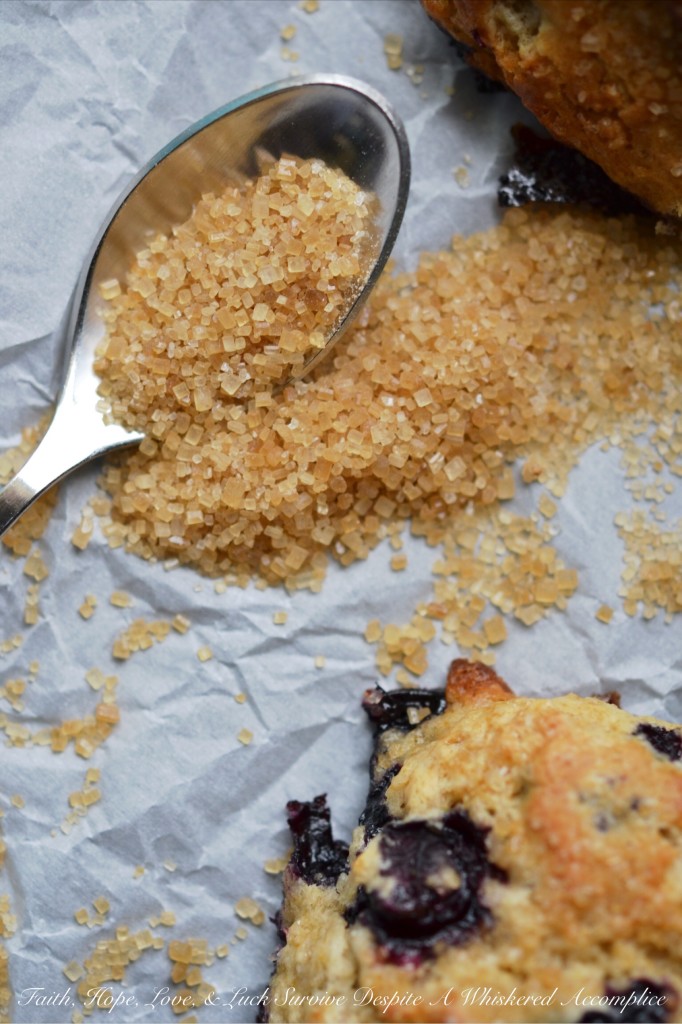 Blueberry Something Special Drop Scones - Looking for a quick and easy way to satisfy your sweet tooth? These blueberry drop scones are not only effortless to make, but they also have a surprise ingredient that takes the flavor to the next level. A wee bit of lime extract is that little something special that adds so much flavor. Bursting with fresh juicy blueberries and topped with a crunchy turbinado sugar topping, these scones are pretty much the perfect treat for just about any occasion.