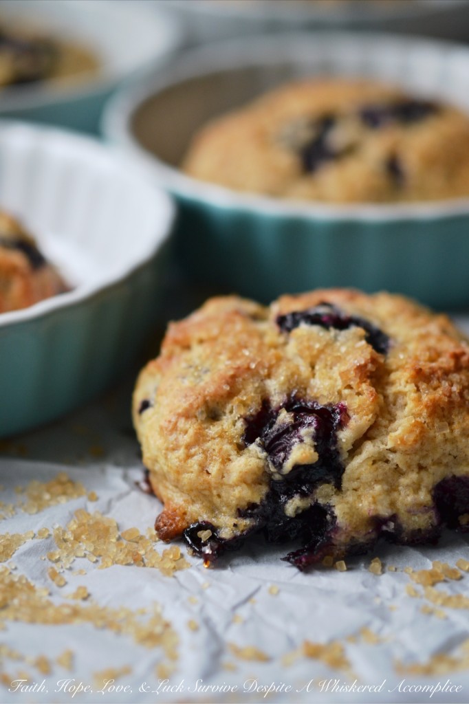 Blueberry Something Special Drop Scones - Looking for a quick and easy way to satisfy your sweet tooth? These blueberry drop scones are not only effortless to make, but they also have a surprise ingredient that takes the flavor to the next level. A wee bit of lime extract is that little something special that adds so much flavor. Bursting with fresh juicy blueberries and topped with a crunchy turbinado sugar topping, these scones are pretty much the perfect treat for just about any occasion.