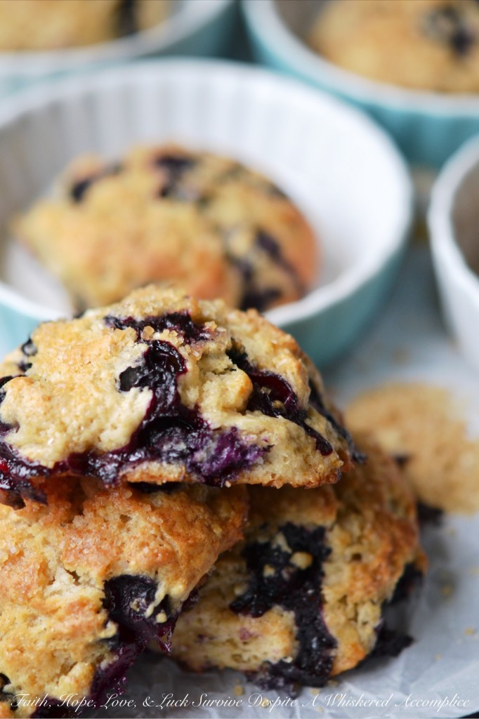 Blueberry Something Special Drop Scones - Looking for a quick and easy way to satisfy your sweet tooth? These blueberry drop scones are not only effortless to make, but they also have a surprise ingredient that takes the flavor to the next level. A wee bit of lime extract is that little something special that adds so much flavor. Bursting with fresh juicy blueberries and topped with a crunchy turbinado sugar topping, these scones are pretty much the perfect treat for just about any occasion.