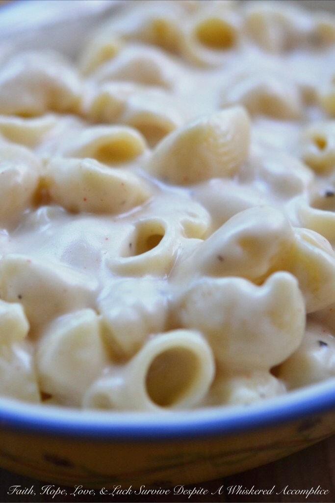 Stove Top Mac and Cheese - This stove-top mac and cheese is simple and has lots of flavor from its ground chipotle chile, as well as its grated white cheddar and manchego cheeses. You can use your favorite pasta to make this side dish, however, I choose to use conchiglie pasta for this macaroni and cheese because its shape allows more melted cheese to pool inside.