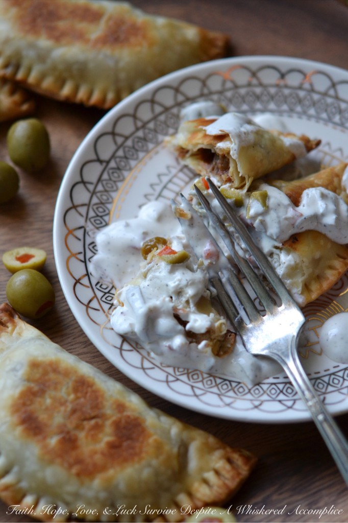 Saucy Crockpot Boneless Short Rib Empanadas | Faith, Hope, Love, and Luck Survive Despite a Whiskered Accomplice
