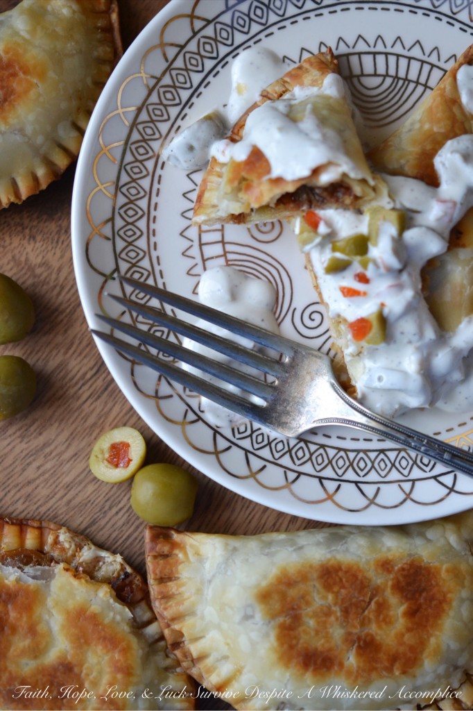 Saucy Crockpot Boneless Short Rib Empanadas | Faith, Hope, Love, and Luck Survive Despite a Whiskered Accomplice