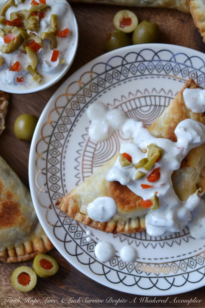 Saucy Crockpot Boneless Short Rib Empanadas | Faith, Hope, Love, and Luck Survive Despite a Whiskered Accomplice