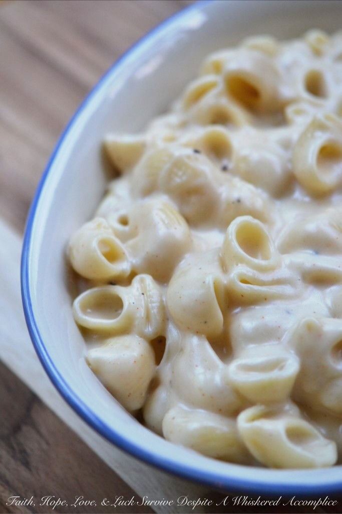 Stove Top Mac and Cheese - This stove-top mac and cheese is simple and has lots of flavor from its ground chipotle chile, as well as its grated white cheddar and manchego cheeses. You can use your favorite pasta to make this side dish, however, I choose to use conchiglie pasta for this macaroni and cheese because its shape allows more melted cheese to pool inside.
