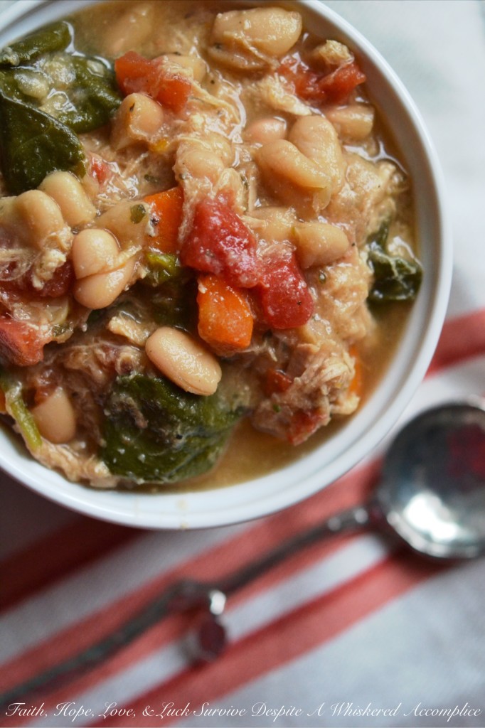 Crockpot Tenderloin and Northern Bean Ale Soup - It's wonderful to come home to this pork and bean soup dinner simmering away in a slow cooker, especially on a busy weeknight. This soup uses dried beans and is simple to throw together on a hectic morning before work. When you get home, just add a few more ingredients, and in half an hour dinner is ready.