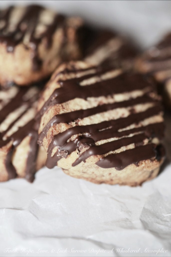 Dark and Stormy Shortbread | Faith, Hope, Love, and Luck Survive Despite a Whiskered Accomplice