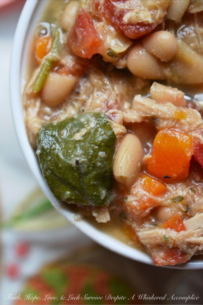 Crockpot Tenderloin and Northern Bean Ale Soup - It's wonderful to come home to this pork and bean soup dinner simmering away in a slow cooker, especially on a busy weeknight. This soup uses dried beans and is simple to throw together on a hectic morning before work. When you get home, just add a few more ingredients, and in half an hour dinner is ready.