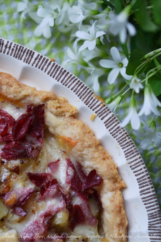 Corned Beef Hash Rustic Pie - This suppertime pie has all of the yummies. Easy-to-make homemade crust, seasoned potatoes, and lots and lots of corned beef and cheese. If you're a fan of deli corned beef, then you're going to fall head over heels for this rustic corned beef hash pie.