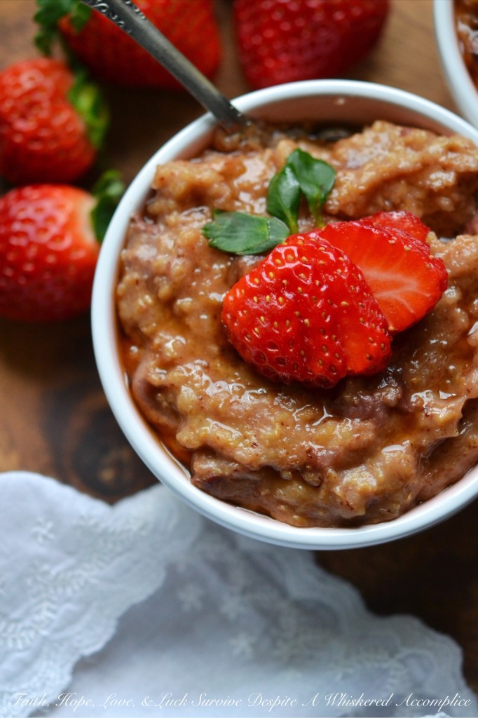 Overnight Crockpot Cinnamon Strawberry Oatmeal | Faith, Hope, Love, and Luck Survive Despite a Whiskered Accomplice