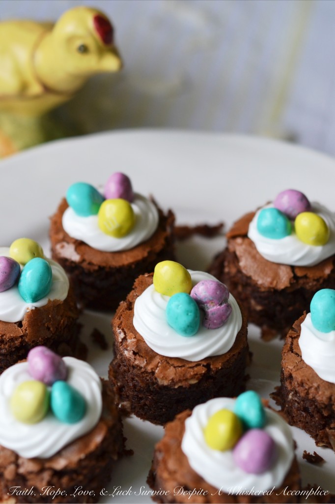 Make Easter "egg"stra special this year with these decadent brownie nests, which are packed full of flavorful coconut and then topped with a swirl of royal icing and decorated with a few candy chocolate eggs. They're a sweet chocolatey way to say "Welcome Spring."