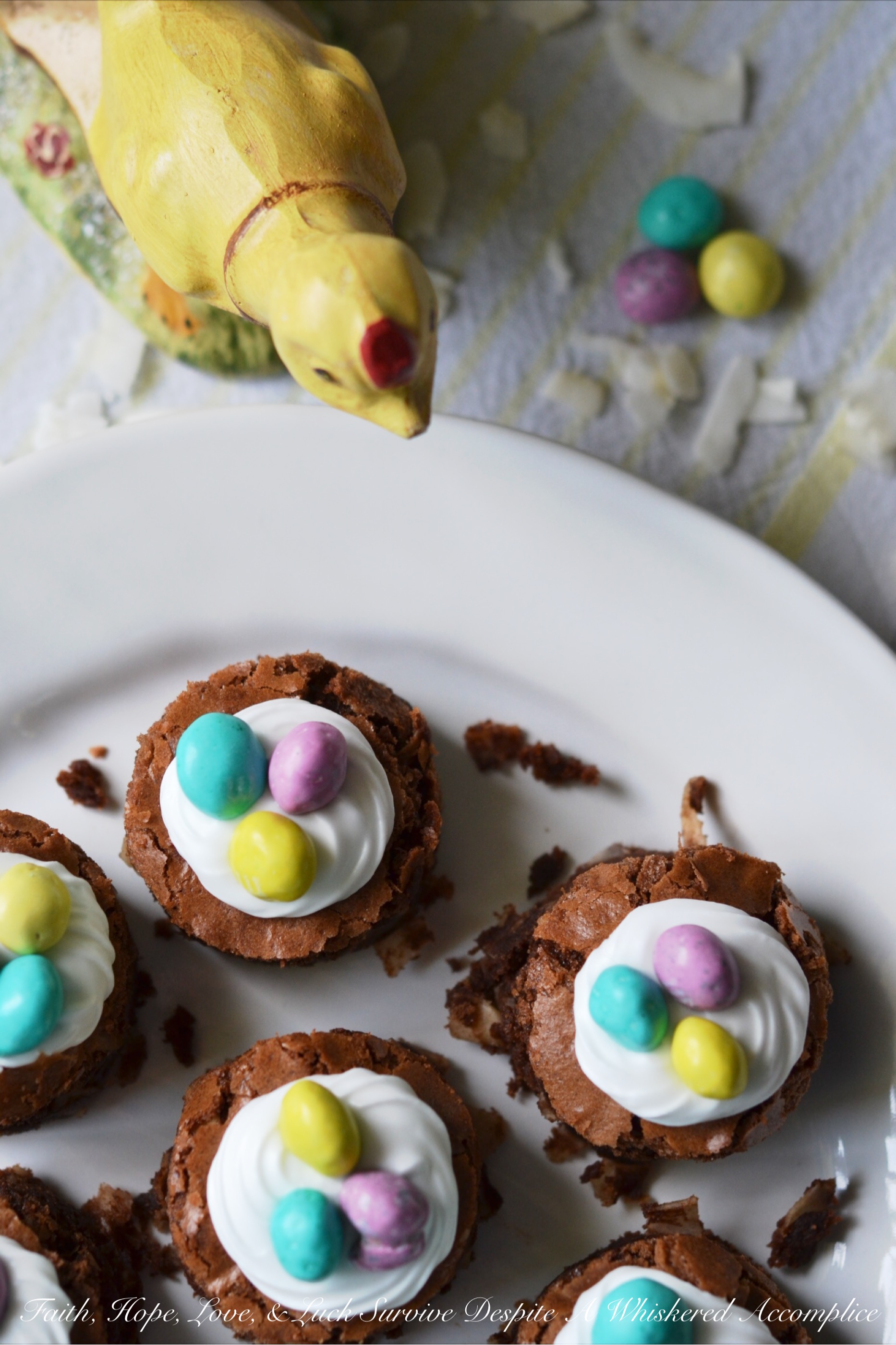 Coconut Brownie Nests
