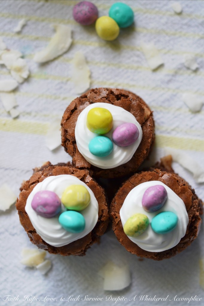Make Easter "egg"stra special this year with these decadent brownie nests, which are packed full of flavorful coconut and then topped with a swirl of royal icing and decorated with a few candy chocolate eggs. They're a sweet chocolatey way to say "Welcome Spring."