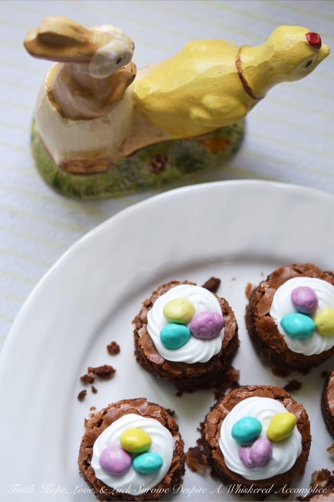 Make Easter "egg"stra special this year with these decadent brownie nests, which are packed full of flavorful coconut and then topped with a swirl of royal icing and decorated with a few candy chocolate eggs. They're a sweet chocolatey way to say "Welcome Spring."