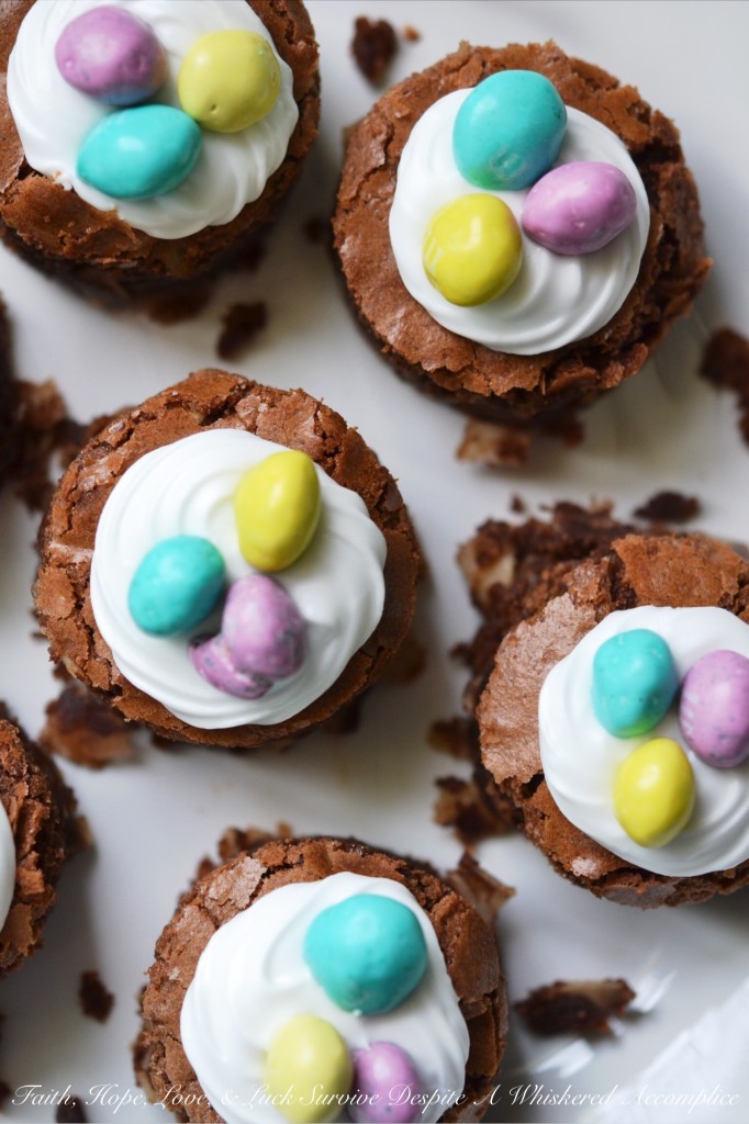 Make Easter "egg"stra special this year with these decadent brownie nests, which are packed full of flavorful coconut and then topped with a swirl of royal icing and decorated with a few candy chocolate eggs. They're a sweet chocolatey way to say "Welcome Spring."