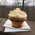 Good Morning Cupcake - DYO, or Do Your Own, is the perfect solution for those of you who want beautifully decorated cupcakes without the hassle. Invite your friends and family over, gather up all of your miscellaneous sprinkles, and host a cupcake decorating party with these mouth-watering Vanilla Irish Brown Butter Cupcakes. With DYO cupcakes, not only will you have the stress-free pleasure of not having to decorate them all by yourself, but your friends and family will get to show off their creativity and make memories at the same time.