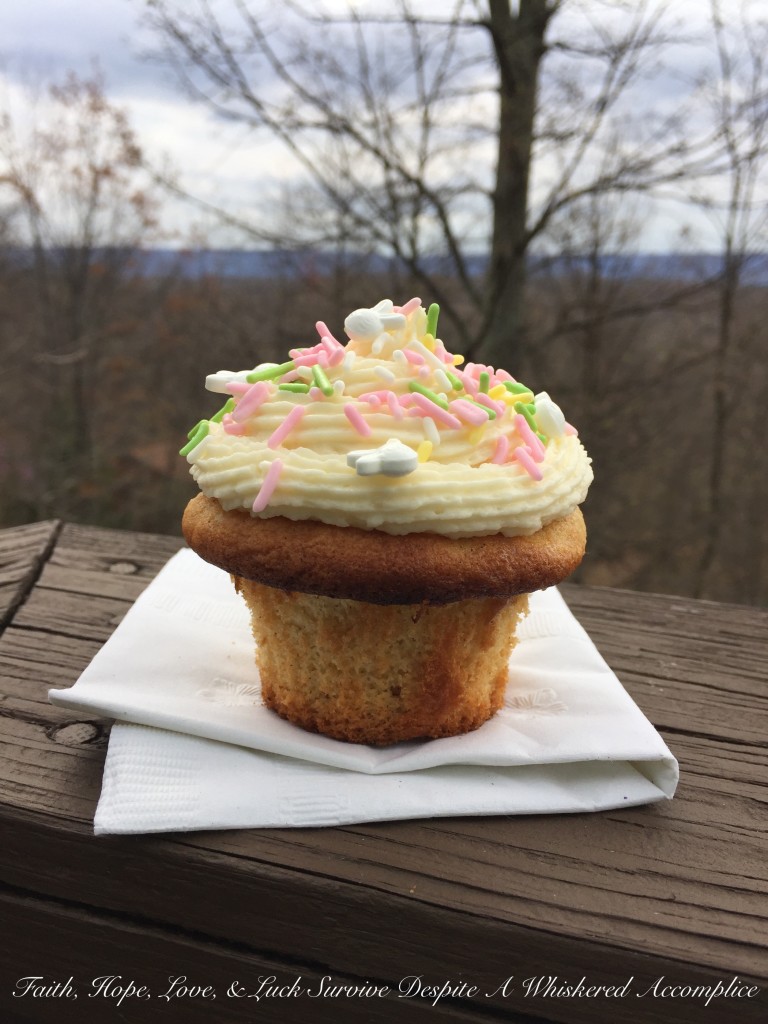 Good Morning Cupcake - DYO, or Do Your Own, is the perfect solution for those of you who want beautifully decorated cupcakes without the hassle. Invite your friends and family over, gather up all of your miscellaneous sprinkles, and host a cupcake decorating party with these mouth-watering Vanilla Irish Brown Butter Cupcakes. With DYO cupcakes, not only will you have the stress-free pleasure of not having to decorate them all by yourself, but your friends and family will get to show off their creativity and make memories at the same time.