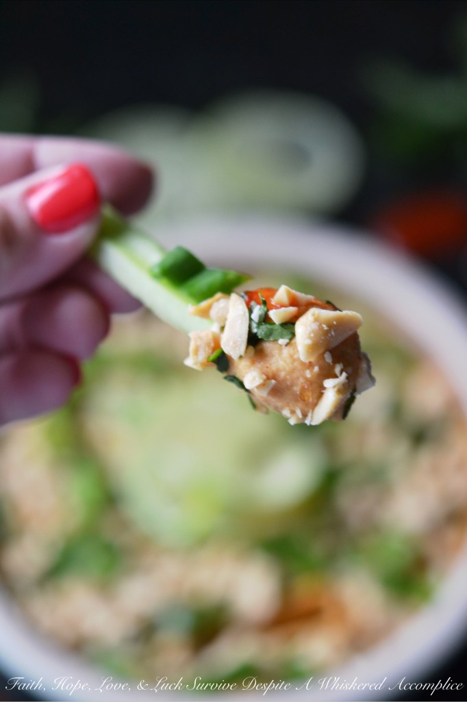 Drunken Thai Peanut Hummus | Faith, Hope, Love, and Luck Survive Despite a Whiskered Accomplice