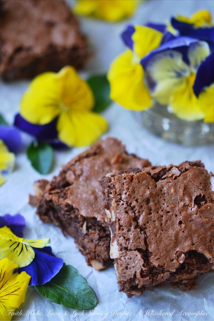 Milk Chocolate Coconut Brownies - Milk chocolate homemade brownies are a cinch to make and so much better than any chocolaty dessert treat that you can make out of a pre-packaged boxed mix. This from-scratch cakey dessert is even more special due to the addition of flaked coconut and coconut extract, which give these chocolate brownies an unmistakable tropical vibe.