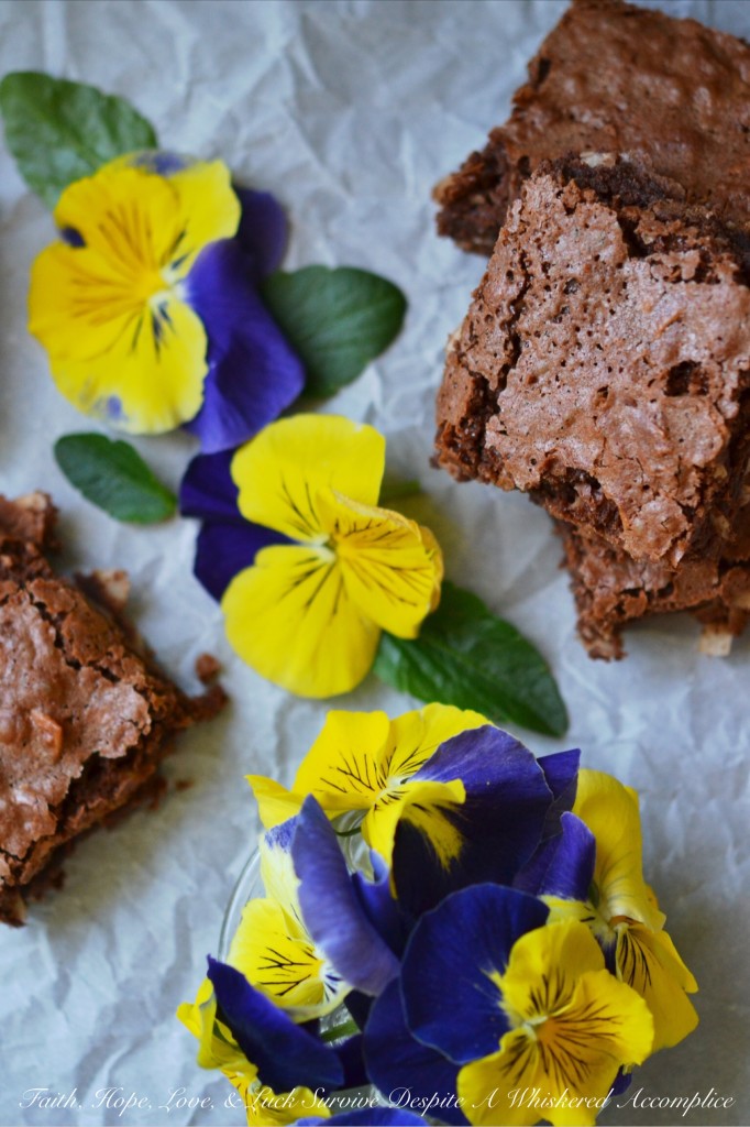 Milk Chocolate Coconut Brownies - Milk chocolate homemade brownies are a cinch to make and so much better than any chocolaty dessert treat that you can make out of a pre-packaged boxed mix. This from-scratch cakey dessert is even more special due to the addition of flaked coconut and coconut extract, which give these chocolate brownies an unmistakable tropical vibe.
