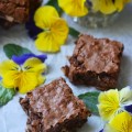 Milk Chocolate Coconut Brownies - Milk chocolate homemade brownies are a cinch to make and so much better than any chocolaty dessert treat that you can make out of a pre-packaged boxed mix. This from-scratch cakey dessert is even more special due to the addition of flaked coconut and coconut extract, which give these chocolate brownies an unmistakable tropical vibe.